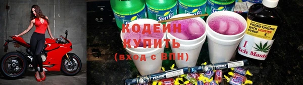 индика Абаза