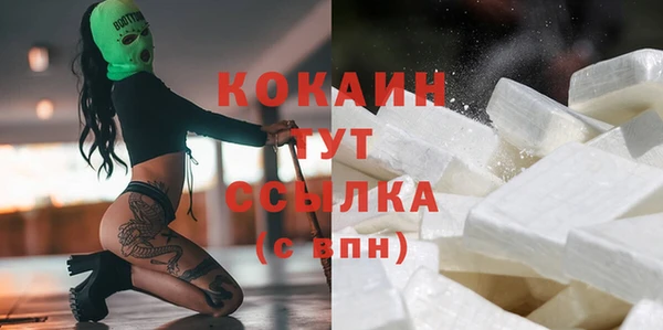 индика Абаза