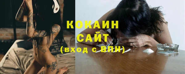 индика Абаза