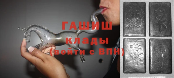 индика Абаза
