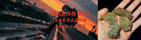 индика Абаза