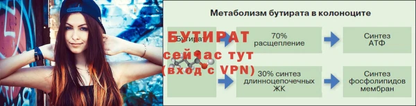 индика Абаза
