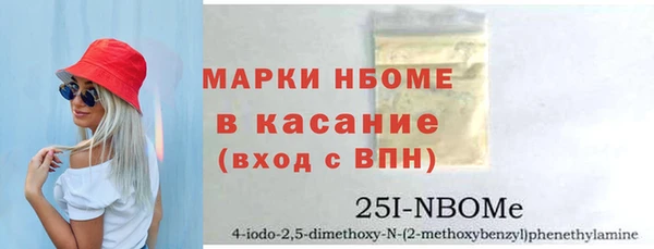 индика Абаза