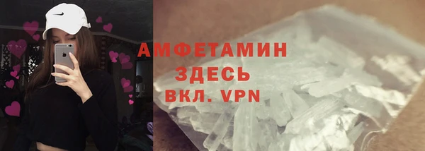 индика Абаза