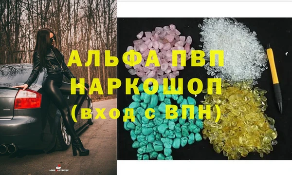 индика Абаза